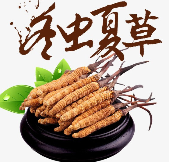 连山虫草回收商家