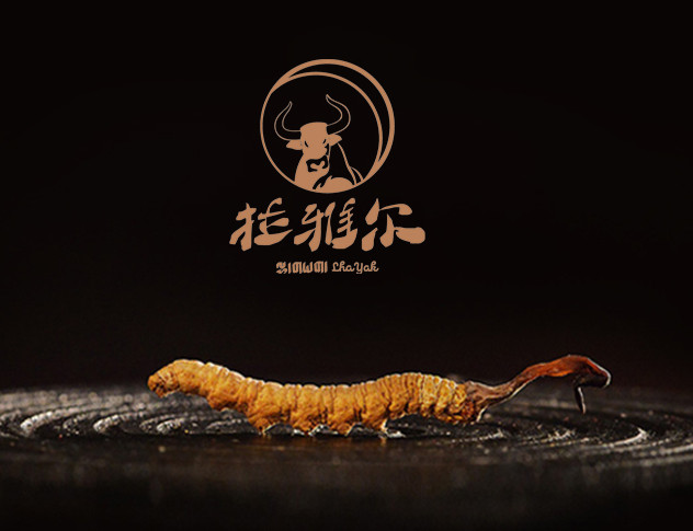 龙塘虫草回收价格