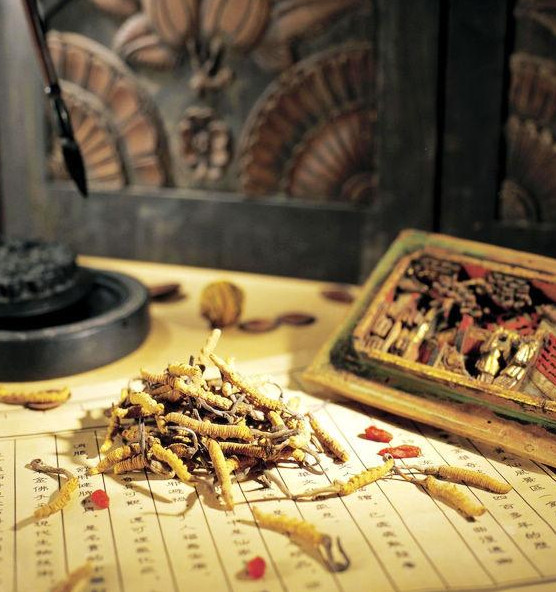 阳山-杨梅足干虫草回收多少钱一克