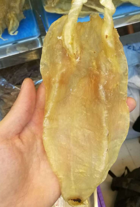 清城-飞来峡鱼胶回收一般价格多少